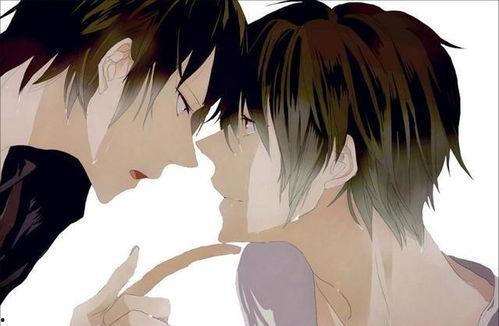 耽美漫画内裤,耽美漫画中的情感纽带