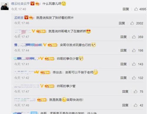 娱乐吃瓜君评论区临沂  第2张